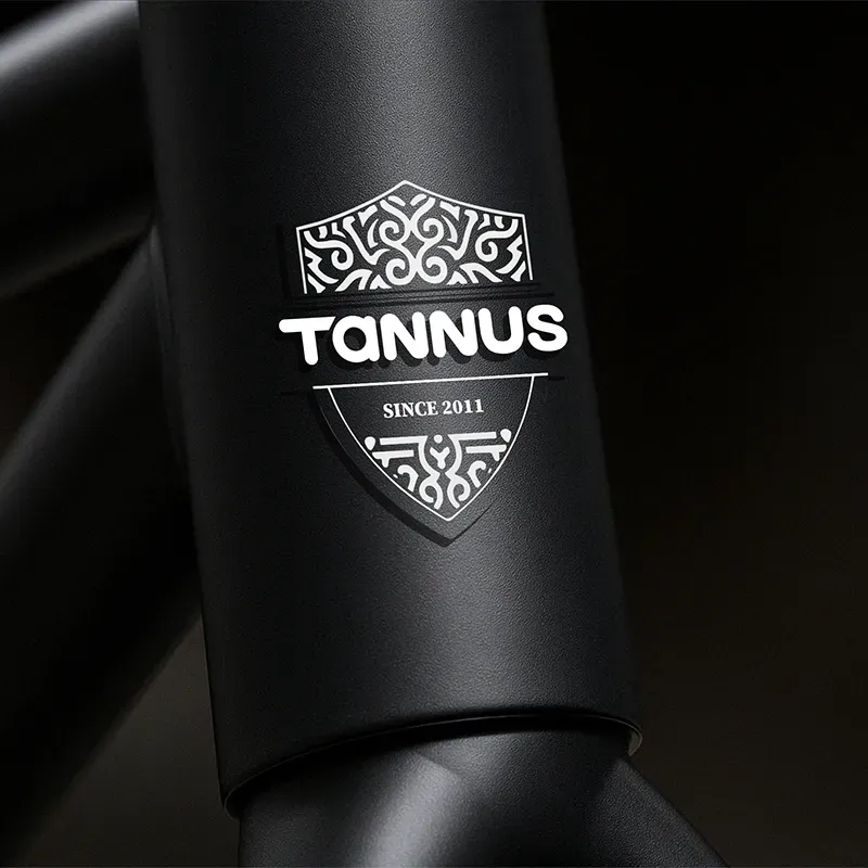 TANNUS